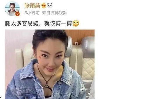 张雨绮女朋友爆料了吗视频,真相究竟如何? 第3张 张雨绮女朋友爆料了吗视频,真相究竟如何? 第3张